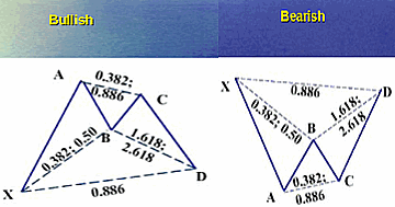 The bat pattern